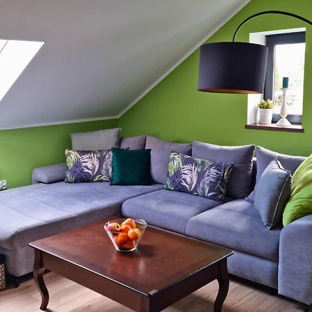 Apartament Nawojowski โนวิซอนช์ ภายนอก รูปภาพ
